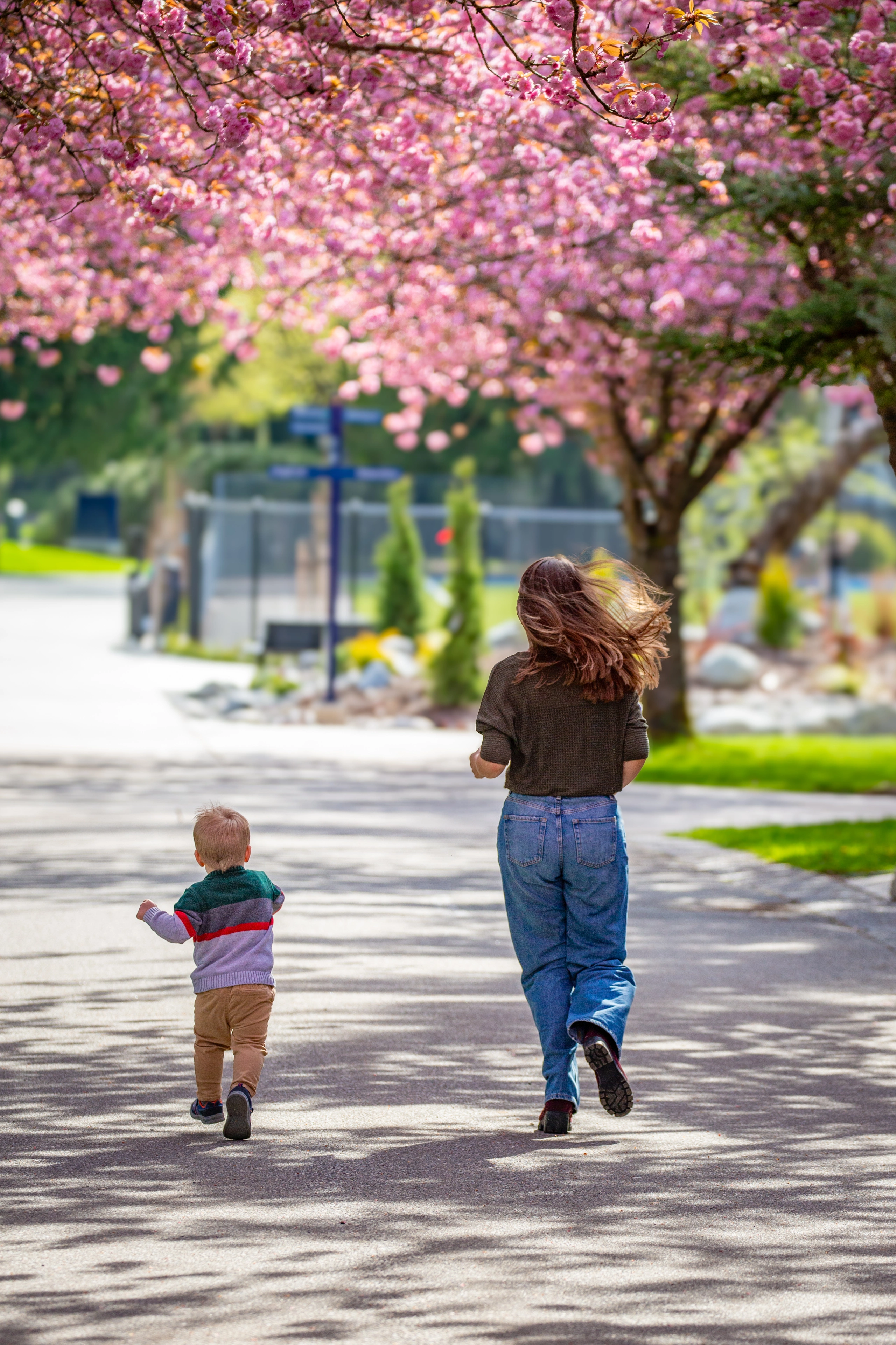 A mother and young child walk away together beneath a canopy of pink blossoms.
